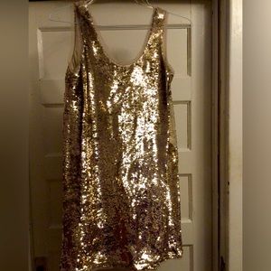 Gold/Champagne Flippy Sequin Dress